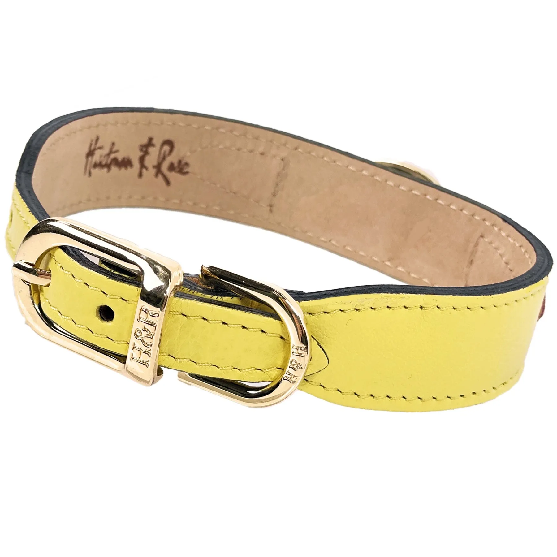 Galaxy Dog Collar in Canary Yellow & Gold