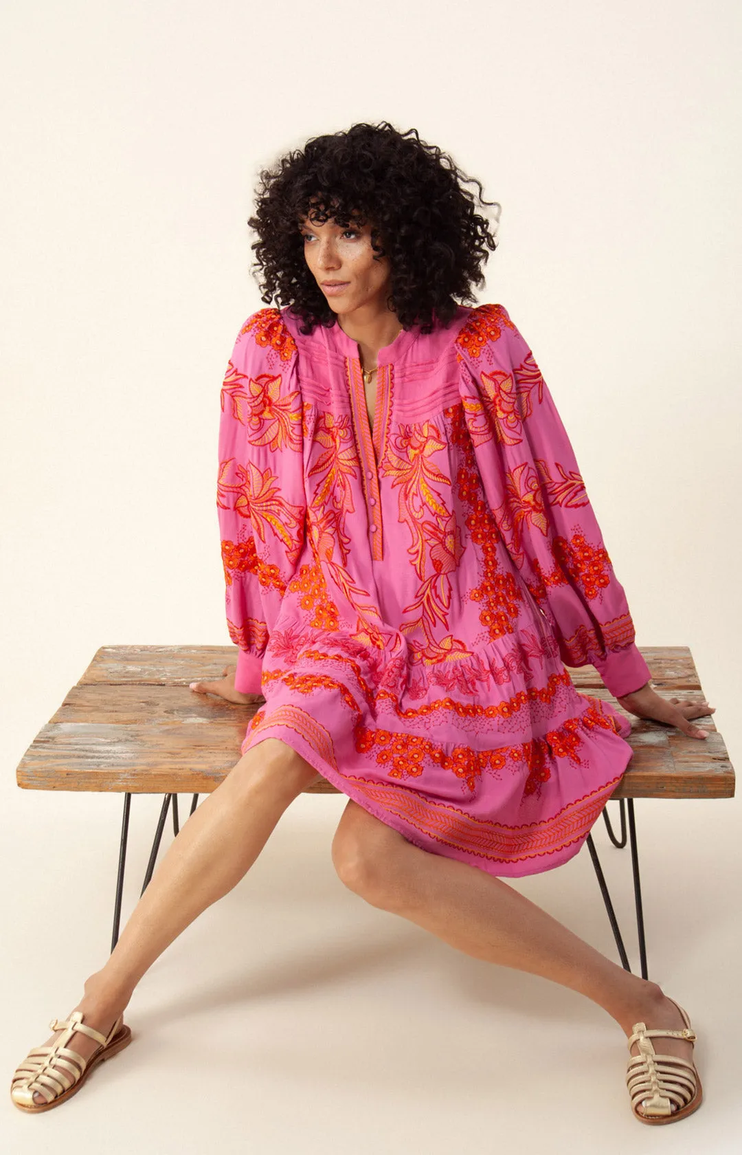Janina Embroidered Dress