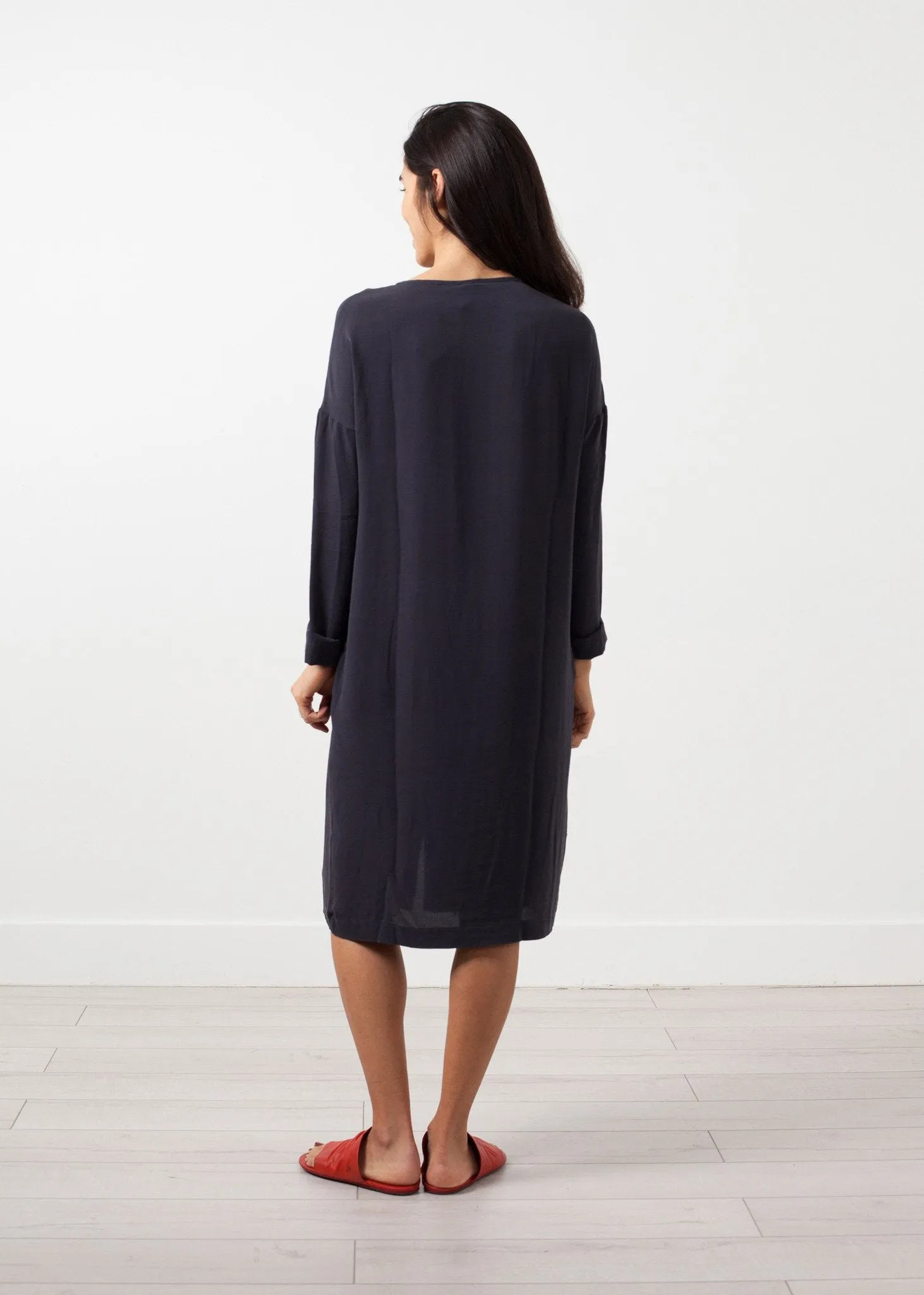 Long Sleeve Silk Dress