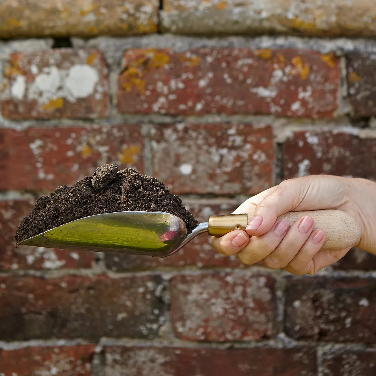 Sophie Conran Trowel